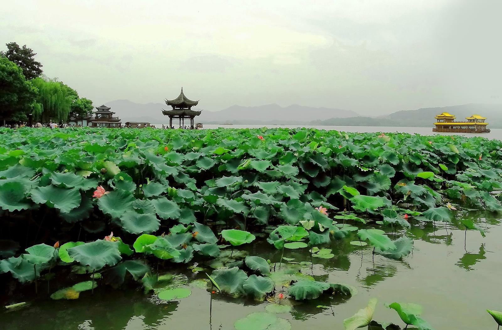 West Lake . Hangzhou